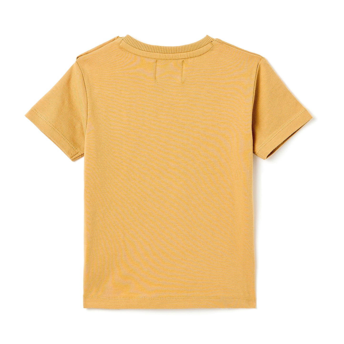 Boys 2 Pc Set “Surfing Turtles” Tee & Drawcord Shorts Set