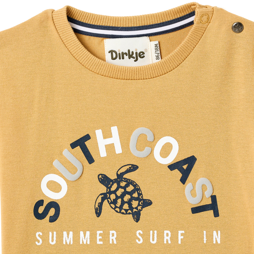 Boys 2 Pc Set ?Surfing Turtles? Tee & Drawcord Shorts Set