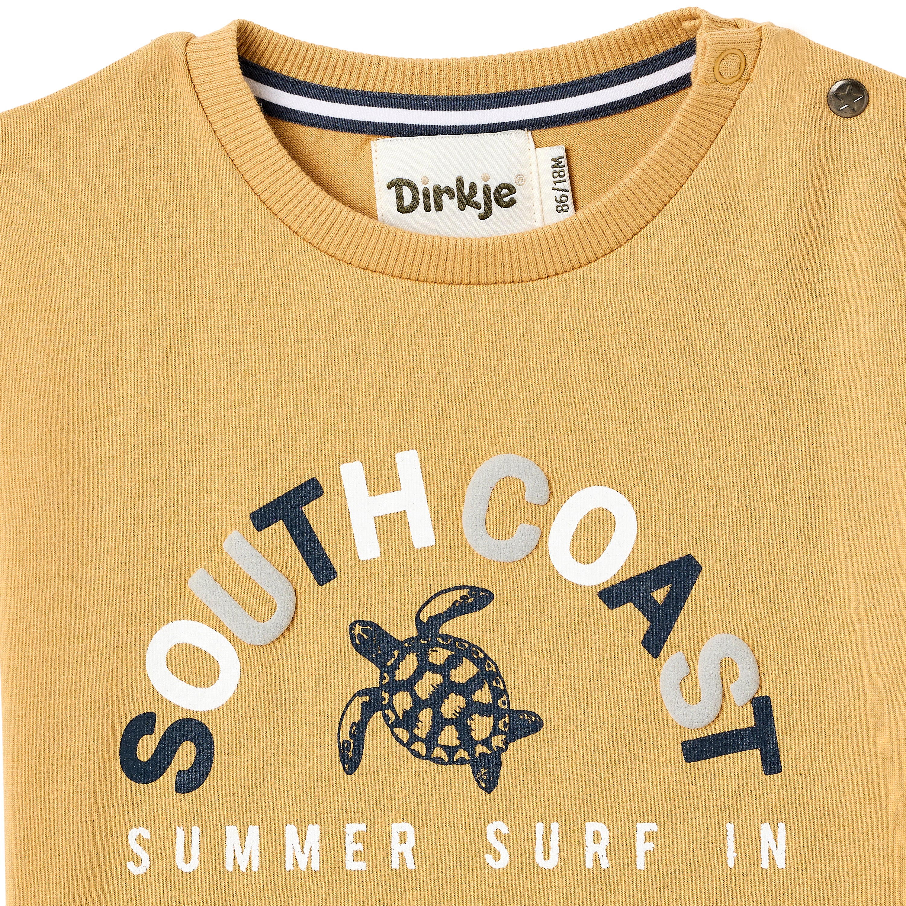 Boys 2 Pc Set ?Surfing Turtles? Tee & Drawcord Shorts Set