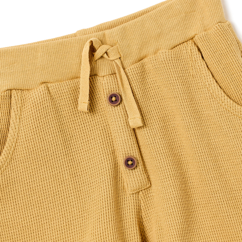 Boys 2 Pc Set ?Sunlit Waffle? Collared Shirt & Roll-Cuff Shorts Set