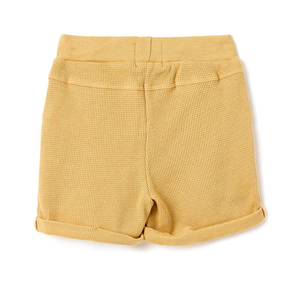 Boys 2 Pc Set ?Sunlit Waffle? Collared Shirt & Roll-Cuff Shorts Set