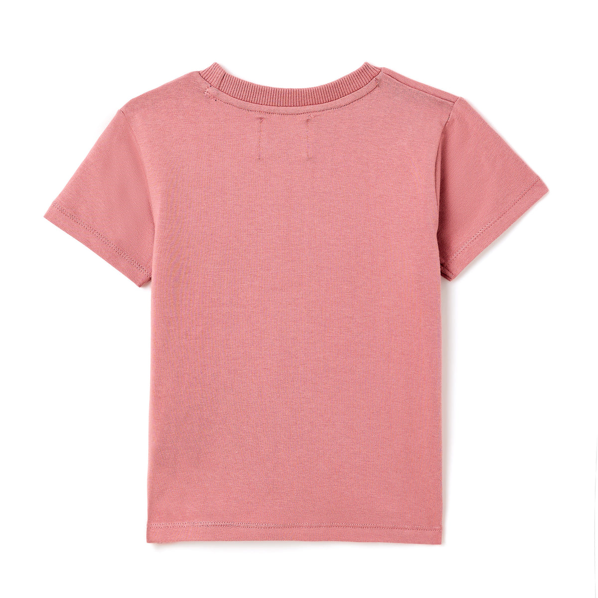 Boys 2Pc T Shirt Set