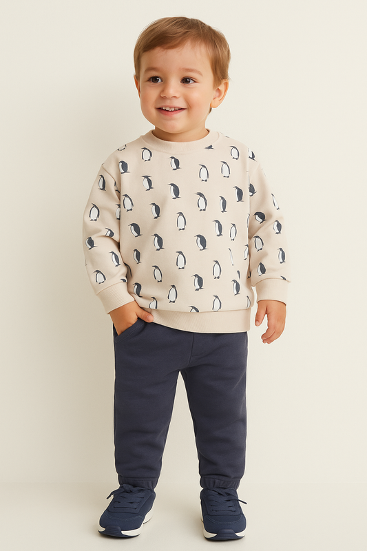 Dirkje Boys Printed Sweatshirt & Joggers Set - 2-Piece