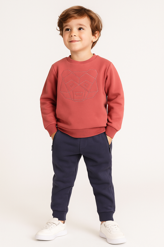 Dirkje Boys Bear Graphic Fleece Tracksuit – Coral & Grey 2-Piece Set