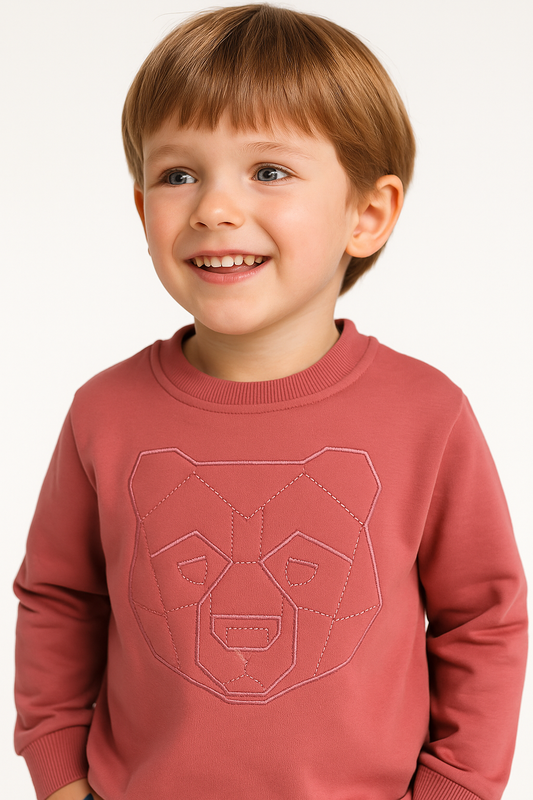 Dirkje Boys Bear Graphic Fleece Tracksuit – Coral & Grey 2-Piece Set