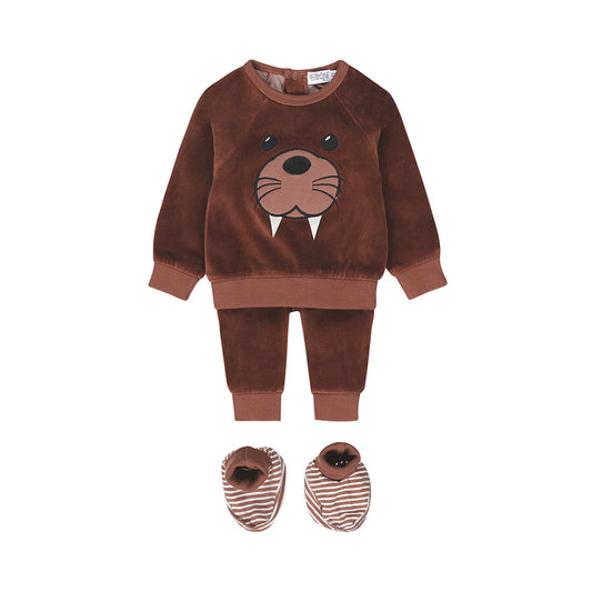 Dirkje brown top and pants Set