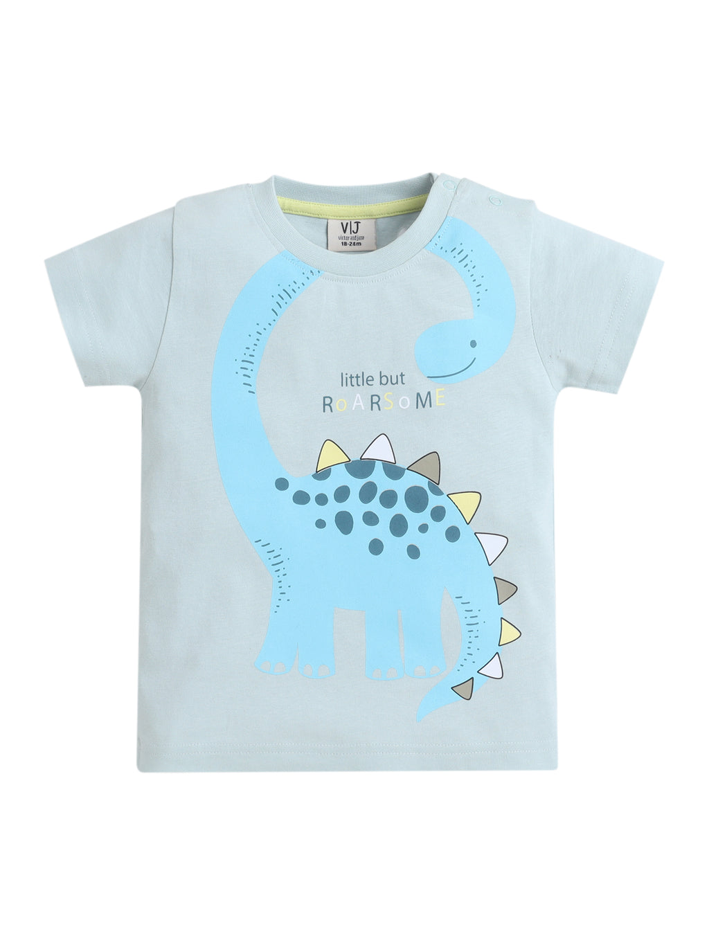 Boys Graphic Print Cotton T-Shirt & Shorts Set “ Summer Daywear