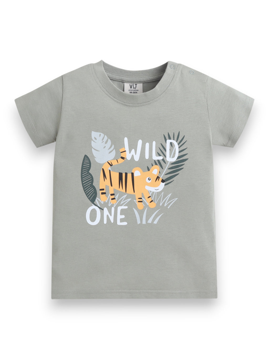 Infant Boys’ Multipack (4 Pack) “ Graphic T-Shirts & Shorts Set