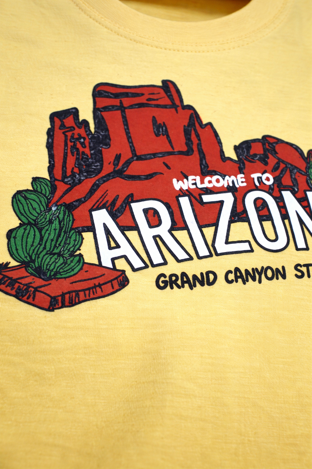 Boys Arizona Graphic T-Shirt & Rust Orange Shorts Set