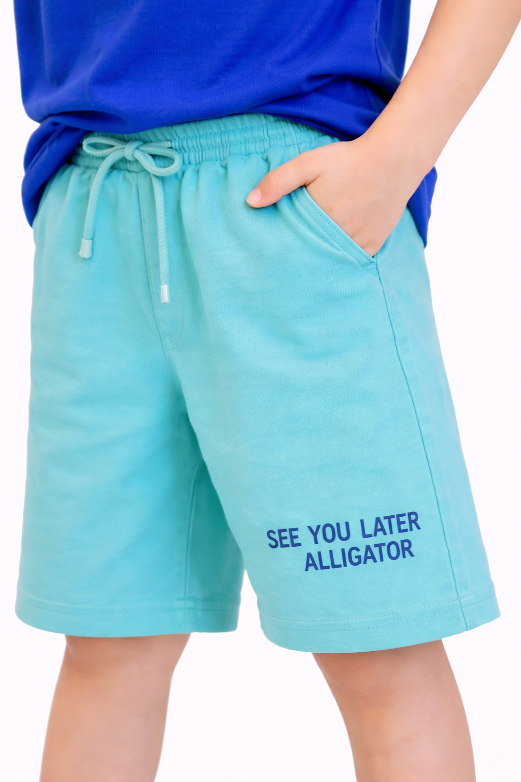 Boys Crocodile Graphic T-Shirt & Mint Shorts Set