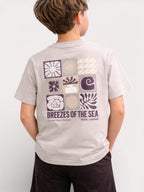 Boys T Shirt Shorts Set