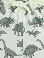 Boys Dinosaur Print Cotton Pajama Set “ T-Shirt & Shorts Nightwear
