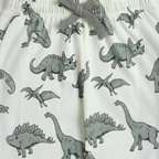 victor and jane boys pyjama bottoms featuring a white fabric with a green dinosaur print and grey drawstring waist