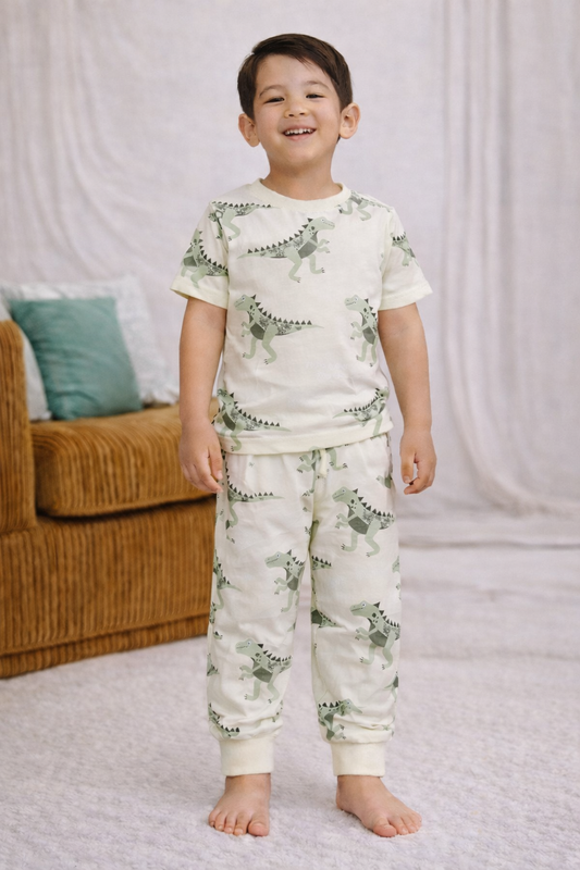 Boys’ Pajama Set – All-Over Dino Print Cotton Nightwear (2-Piece Set)