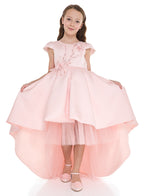 Peach High Low Tail Dress With Beaded Embroidery