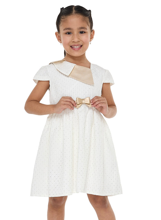 Ivory/Gold Lapel Jacquard Dress