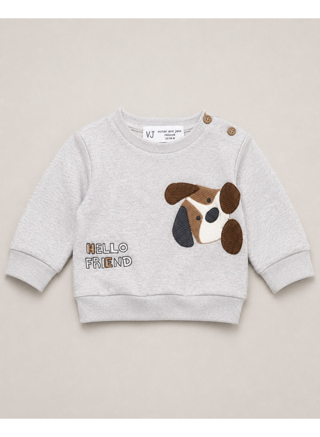 Boys 2-Piece Sweatshirt & Cargo Pants Set