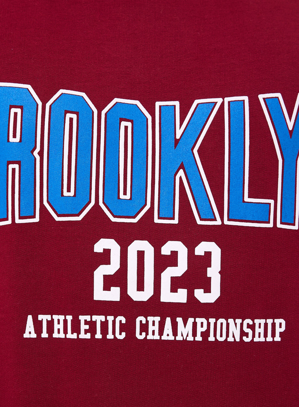 Boys' Sweatshirt  "Brooklyn" Graphic Printed