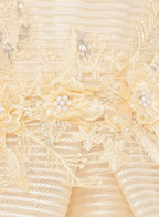 Girls Champange High Low Tail Dress With 3D Applique