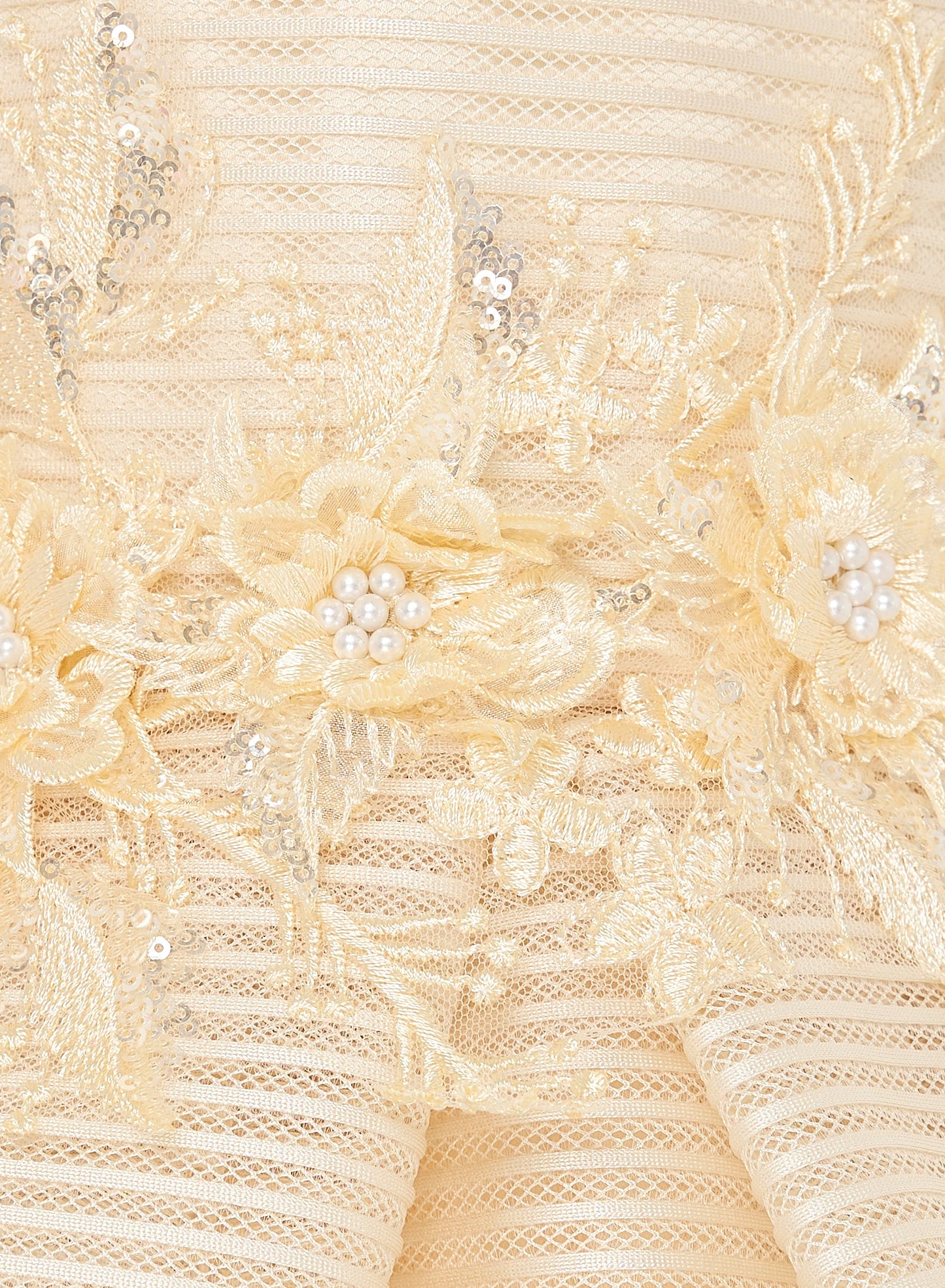 Girls Champange High Low Tail Dress With 3D Applique