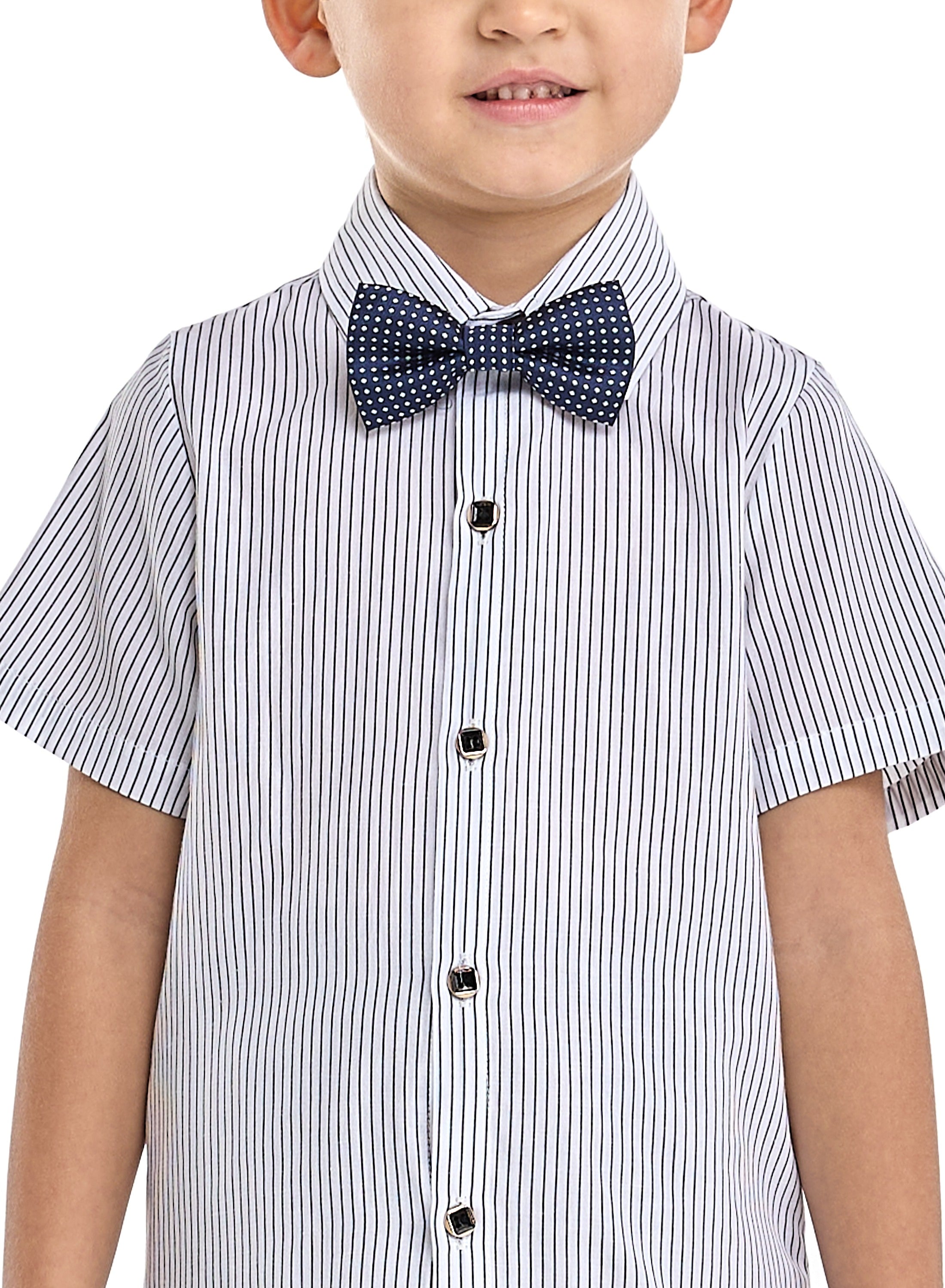 Tan Waistcoat And Pant Set With Shirt And Bow Tie