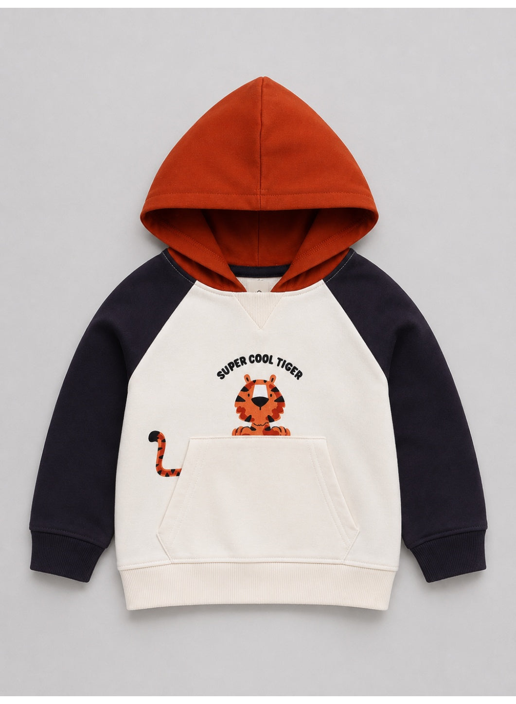 Boys 2-Piece Hoodie & Jogger Pants Set