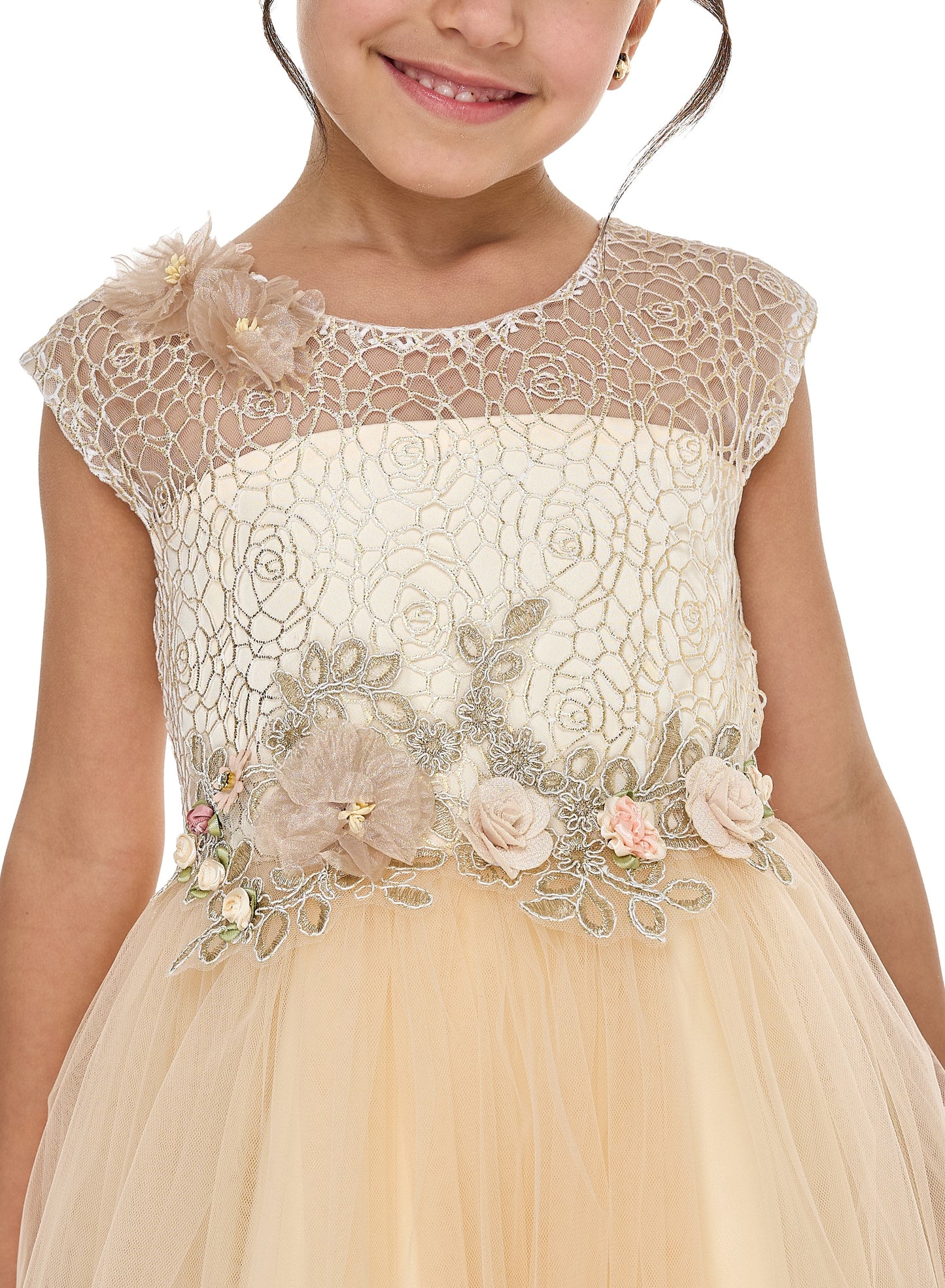 Champagne Lace And Tulle Dress
