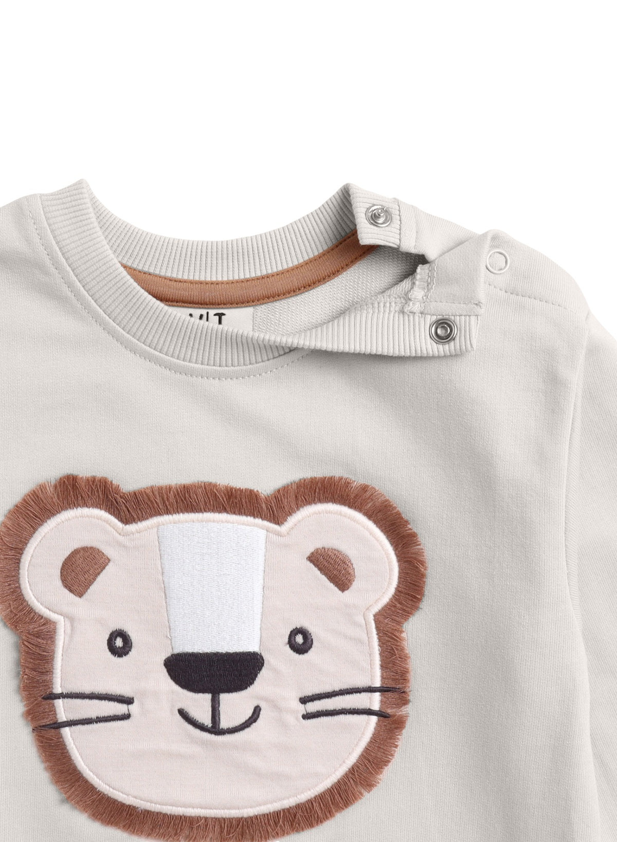 Baby Boys 2Pc Sweatshirt Set