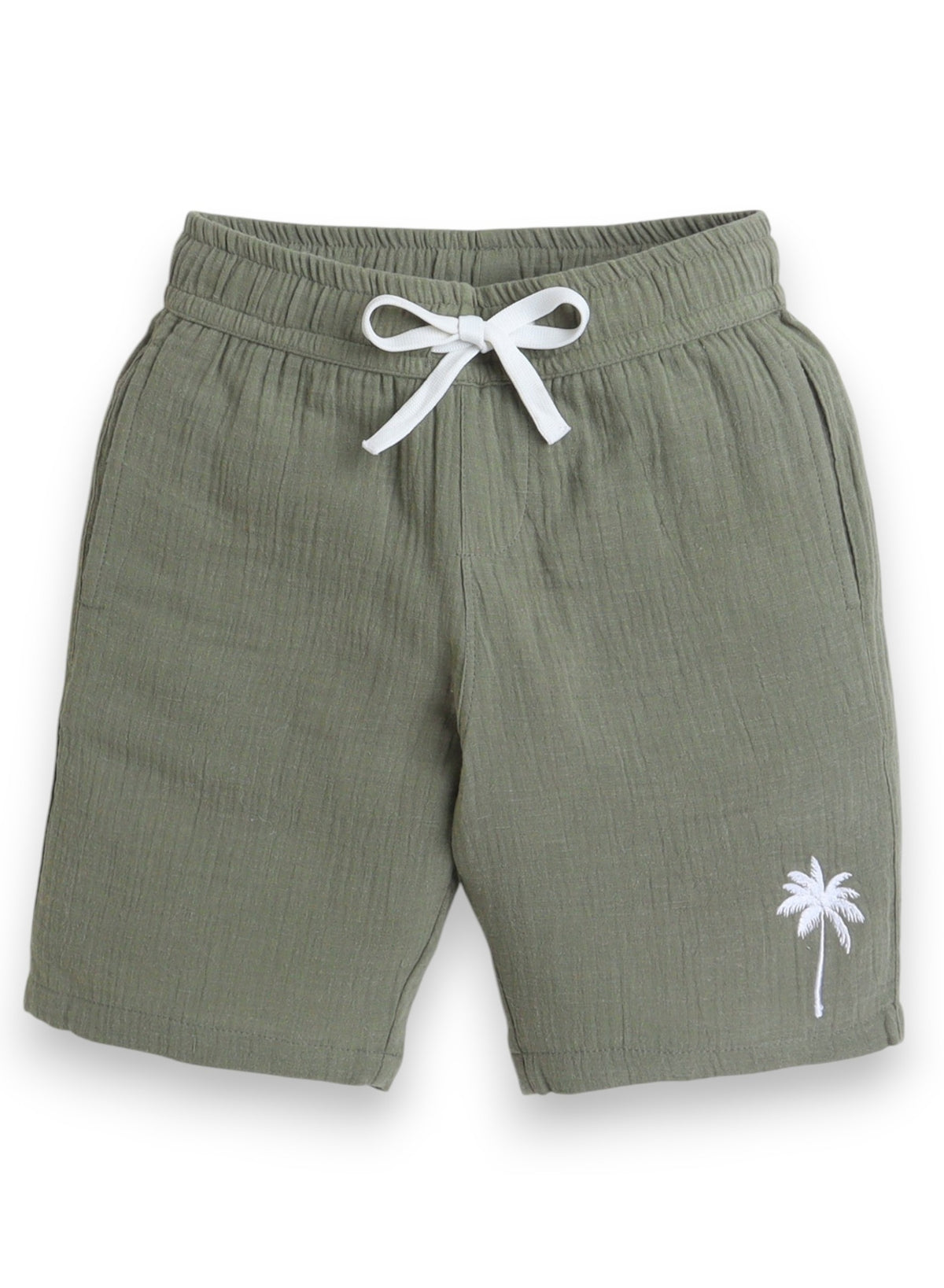 Boys 2Pc Shirt Shorts Set