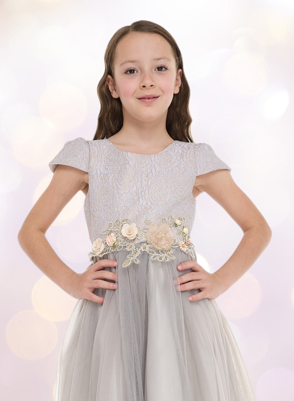Grey/Gold Jacquard And Tulle Dres With Lace
