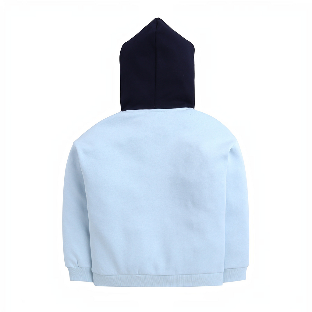 Back view of a victor and jane boys hoodie featuring a light blue body and a contrasting dark navy blue hood