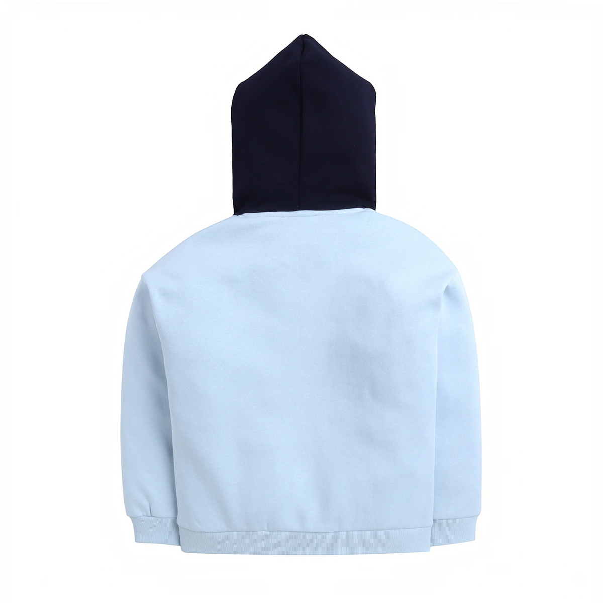 Back view of a victor and jane boys hoodie featuring a light blue body and a contrasting dark navy blue hood