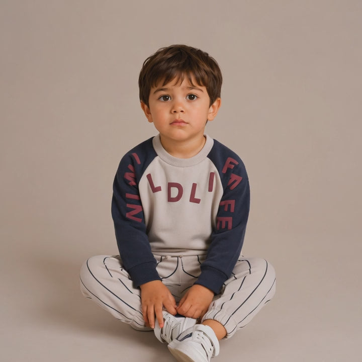 Boys Graphic Sweatshirt Jogger Set